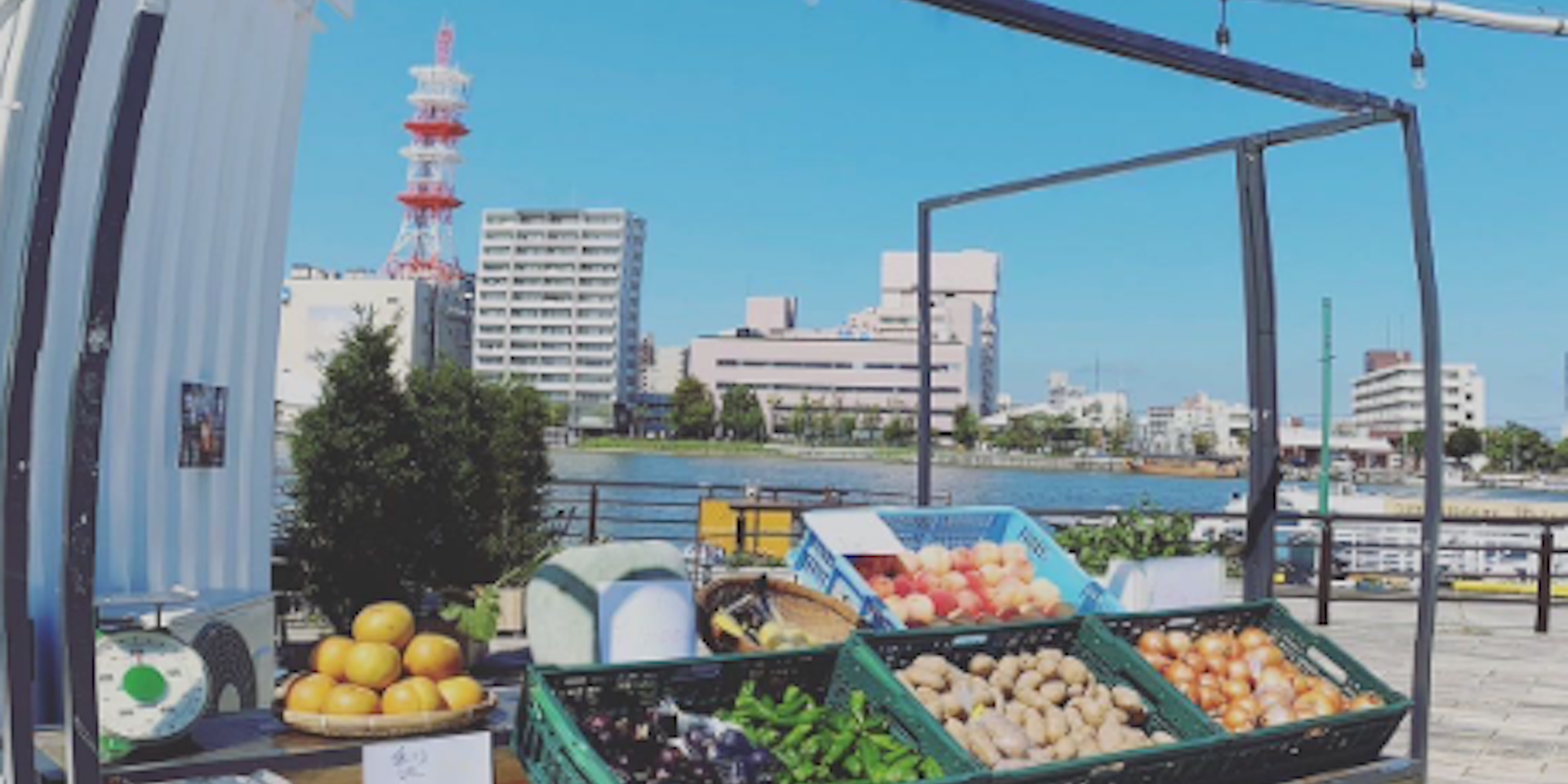 ▽5月~毎月第4土曜日はサンセットマルシェのイメージ画像